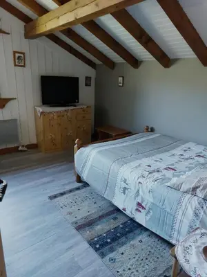 a bedroom with a bed and a flat screen tv at Chambre privee in Sallanches