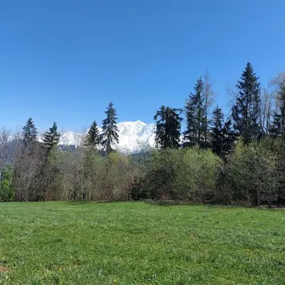 a field with trees and snow capped mountains in the background at Appartement T2 de Standing Neuf 6-8 personnes avec Balcon et Jardinet au Pied des Pistes à Combloux in Combloux