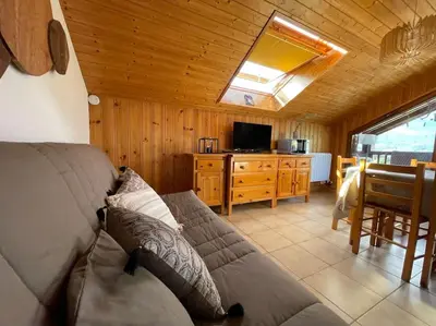 a living room with a couch and a television at L'Appartement des Pistes in Saint-Gervais-les-Bains