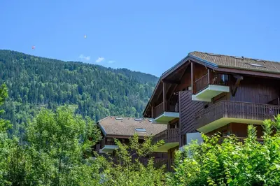 a building on the side of a mountain with trees at L'Appartement des Pistes in Saint-Gervais-les-Bains