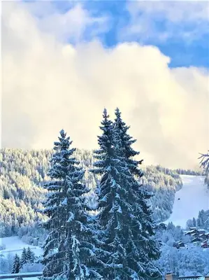 a group of pine trees covered in snow at Appart à la montagne navette et parking gratuit in Arâches-la-Frasse