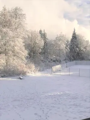 a snow covered field with a fence and trees at Appart à la montagne navette et parking gratuit in Arâches-la-Frasse