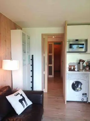 a living room with a couch with a pillow on it at La marmotte: Vue Mont Blanc, terrasse, parking in Combloux
