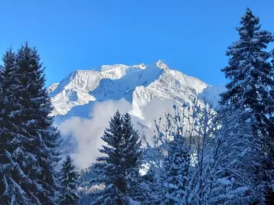 a snow covered mountain with trees in the foreground at Joli studio à St Gervais les bains in Saint-Gervais-les-Bains