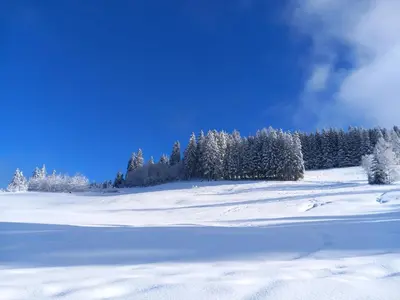 a snow covered field with trees in the background at Joli studio à St Gervais les bains in Saint-Gervais-les-Bains