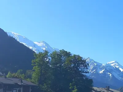 a snow covered mountain with a tree in front of it at Joli studio à St Gervais les bains in Saint-Gervais-les-Bains