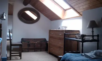 a bedroom with a bed and a dresser and a mirror at Villa Jules in Chamonix-Mont-Blanc