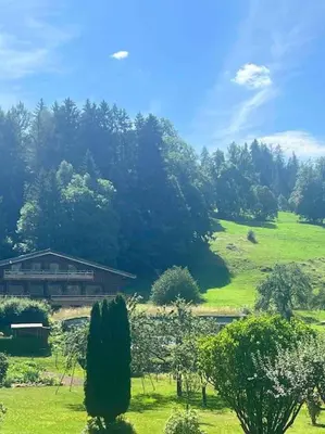 a house on a hill with trees and a field at Appartement à Megève in Demi-Quartier
