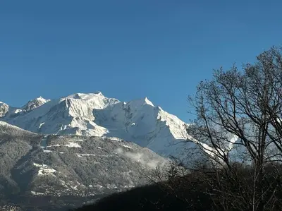 a snow covered mountain with a tree in front of it at Appartement à Megève in Demi-Quartier