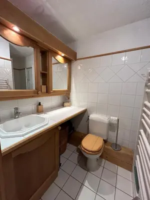 a bathroom with a toilet and a sink at Les Houches vue magnifique avec piscine,pied des pistes de ski,garage in Les Houches