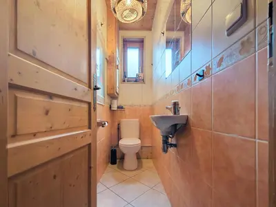 a bathroom with a toilet and a sink at Le cosy refuge in Chamonix-Mont-Blanc