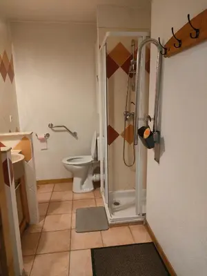a bathroom with a shower and a toilet at charmant appartement 2-4 personnes coeur de chamonix in Chamonix-Mont-Blanc