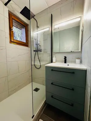 a bathroom with a sink and a shower at Appartement Calme et Chaleureux in Demi-Quartier