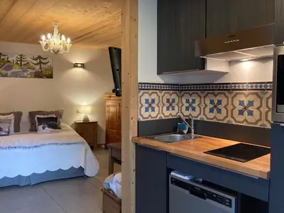 a kitchen with a sink and a bed in a room at Chalet Walser à VALLORCINE 13 kms CHAMONIX France in Vallorcine