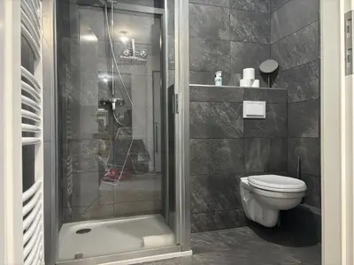 a bathroom with a shower and a toilet at Le Bettex - Lumineux - Vue montagne in Saint-Gervais-les-Bains
