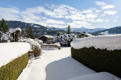 a yard covered in snow with bushes and trees at Flat La Loge - At the foot of the Jaillet in Megève in Megève