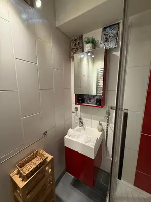 a bathroom with a sink and a mirror at CHAMONIX Centre - Studio de charme avec parking, Vue sur le Mont-Blc in Chamonix-Mont-Blanc