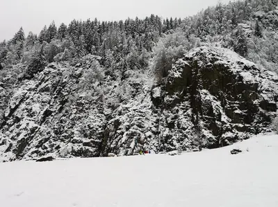 a snow covered mountain with trees in the background at Chamonix, studio de 24 m2 in Chamonix-Mont-Blanc