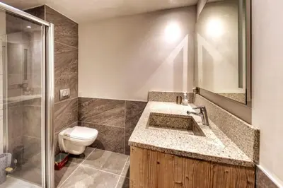 a bathroom with a toilet and a sink and a shower at MGM Charles Delys - 3 Rooms - Les Houches in Les Houches