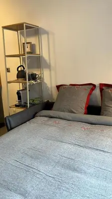 a bedroom with a bed and a book shelf at STUDIO DENT DU CROCODILE, AIGUILLE du MIDI, BALCON, PARKING in Chamonix-Mont-Blanc