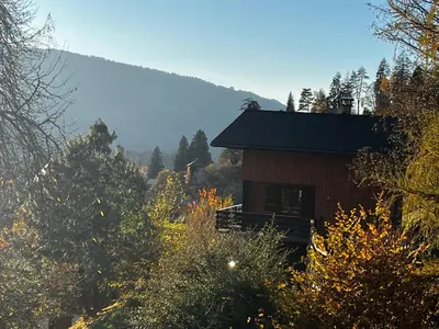 a cabin in the middle of a mountain with trees at Chalet La Ponote in Samoëns