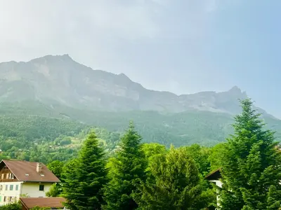 a group of trees with mountains in the background at Les hirondelles in Passy