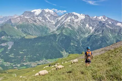 a man walking up a hill with sheep on a mountain at T2 with pool in Saint-Gervais-les-Bains in Saint-Gervais-les-Bains