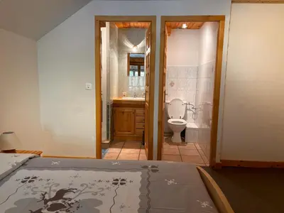 a room with a bathroom with a toilet and a sink at Appartement Chamonix in Chamonix-Mont-Blanc