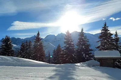 a snow covered slope with trees and the sun in the sky at Premier étage d'une ferme rénovée in Passy