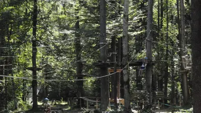 a person riding a bike in a forest with trees at SAMOENS appartement proche du centre in Samoëns