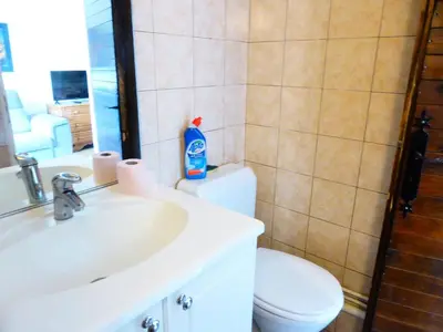 a bathroom with a sink and a toilet and a mirror at Résidence L'air Du Temps - L'Air du Temps 10 MAE-1321 in Les Contamines-Montjoie