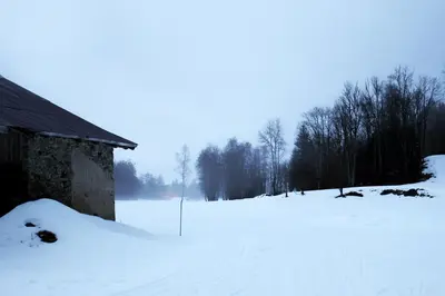 a snow covered field with a building and trees at La Ferme du Praz in Les Contamines-Montjoie