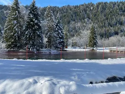 a snow covered field with trees and a fence at La Ferme du Praz in Les Contamines-Montjoie