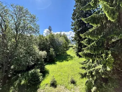 a path through a forest with trees and grass at Appartement 3 pièces, 4/6 couchages à Combloux avec parking - FR-1-597-178 in Combloux