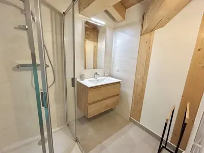 a bathroom with a sink and a shower at Appartement 3 pièces, 4/6 couchages à Combloux avec parking - FR-1-597-178 in Combloux