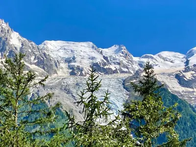 a snow covered mountain with trees in the foreground at Chalet Ciscana Chamonix MontBlanc in Chamonix-Mont-Blanc