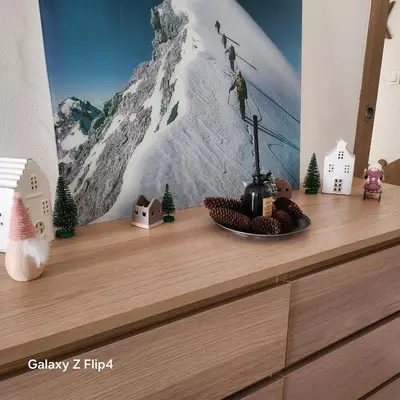 a shelf with a picture of a mountain on a wall at Adret1 in Passy