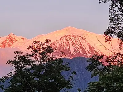 a snow covered mountain with trees in the foreground at Adret1 in Passy