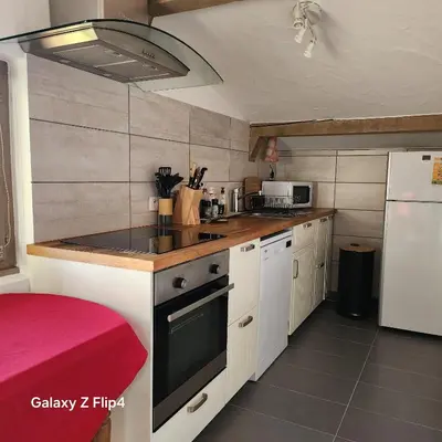 a small kitchen with a stove and a refrigerator at Adret1 in Passy