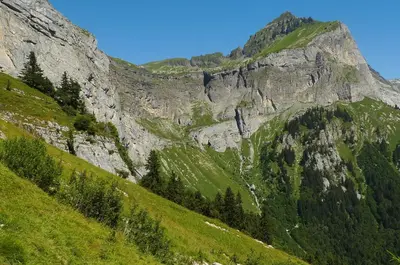 a mountain with green grass and trees on it at Location de charme 4 étoiles à Passy in Passy