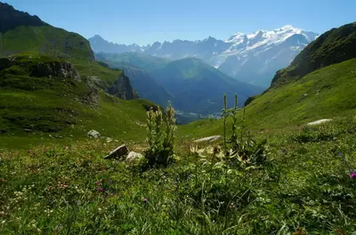 a grassy hill with mountains in the background at Location de charme 4 étoiles à Passy in Passy