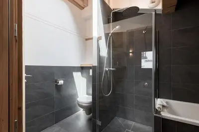 a bathroom with a shower and a toilet at Les Trabets - Bellevue telecabine - Renove in Les Houches