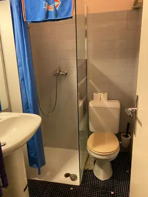 a bathroom with a shower with a toilet and a sink at Studio meublé bon emplacement in Chamonix-Mont-Blanc