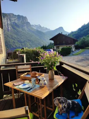 a dog sitting on a chair next to a wooden table at Le Refuge des Trolls in Sixt