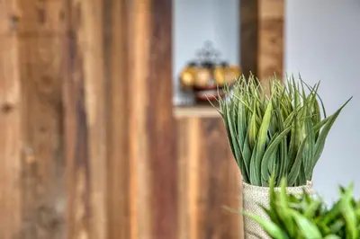 a vase filled with green plants in it at Charmant appartement avec balcon et commodités modernes in Samoëns