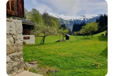 a field of green grass with mountains in the background at Chalet Combe in Samoëns