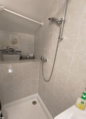 a bathroom with a shower and a sink at Cosy F2 in Passy