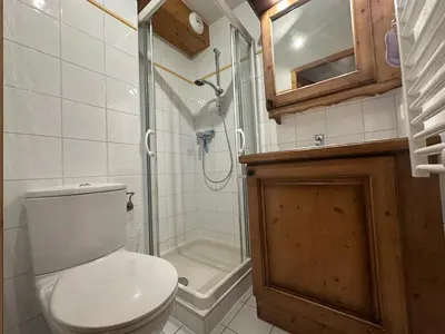 a bathroom with a toilet and a shower at Bel appartement 3 ch, au pied des pistes avec wifi - FR-1-642-93 in Morillon