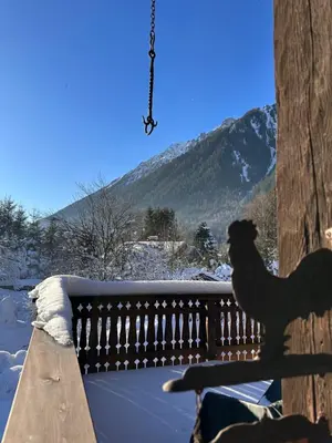 a dog is sitting on a railing in the snow at Chalet Le 1853 in Chamonix-Mont-Blanc