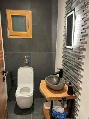 a bathroom with a toilet and a sink at Chalet Cristal I in Les Contamines-Montjoie
